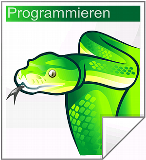 Programmieren